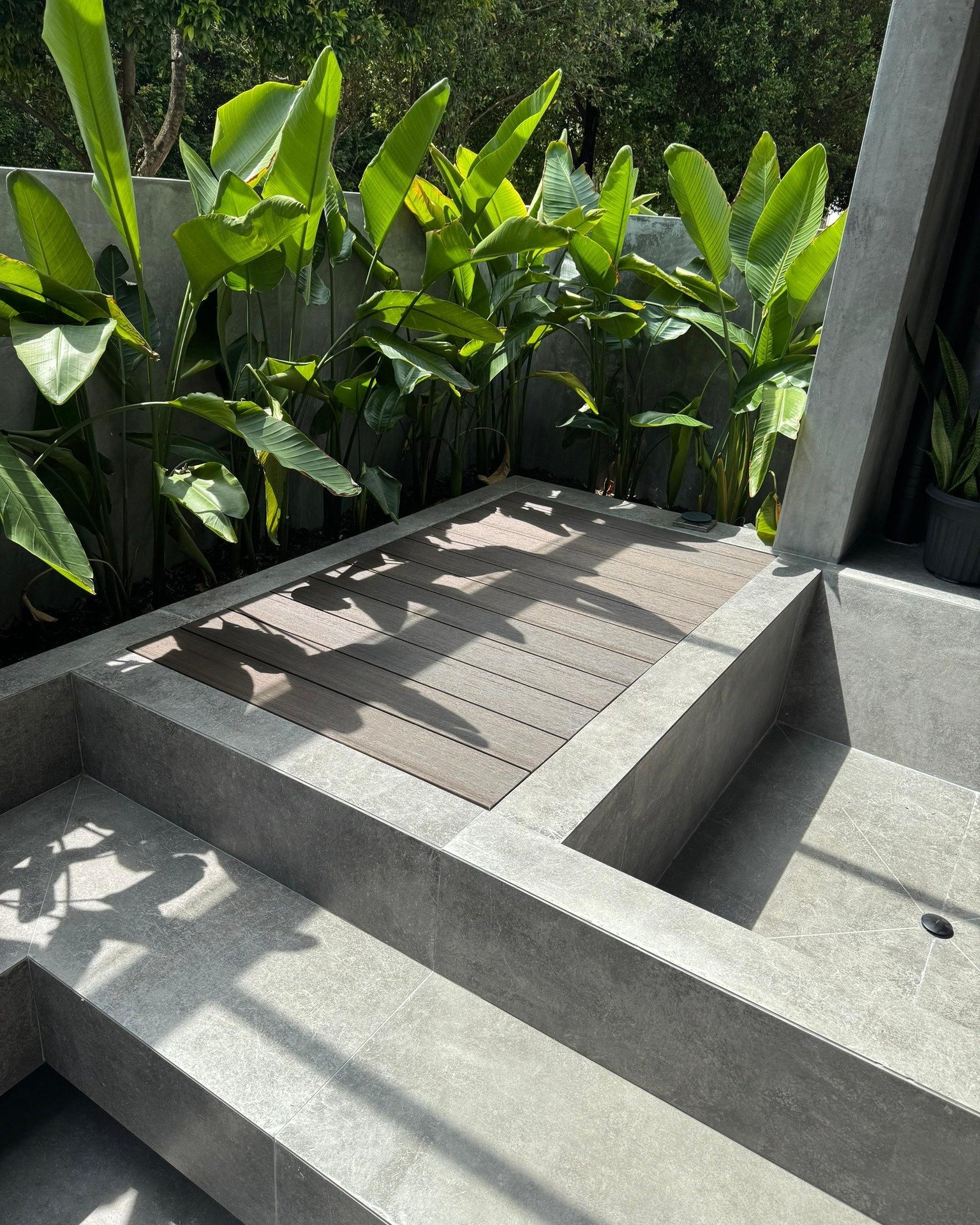 Exterwood