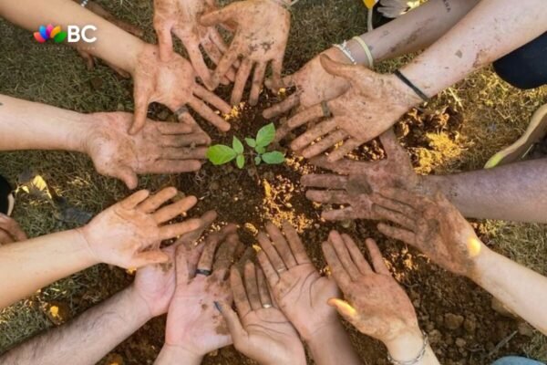 GAT charitable trust