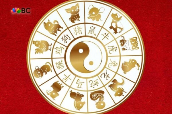 2026年十二生肖运势