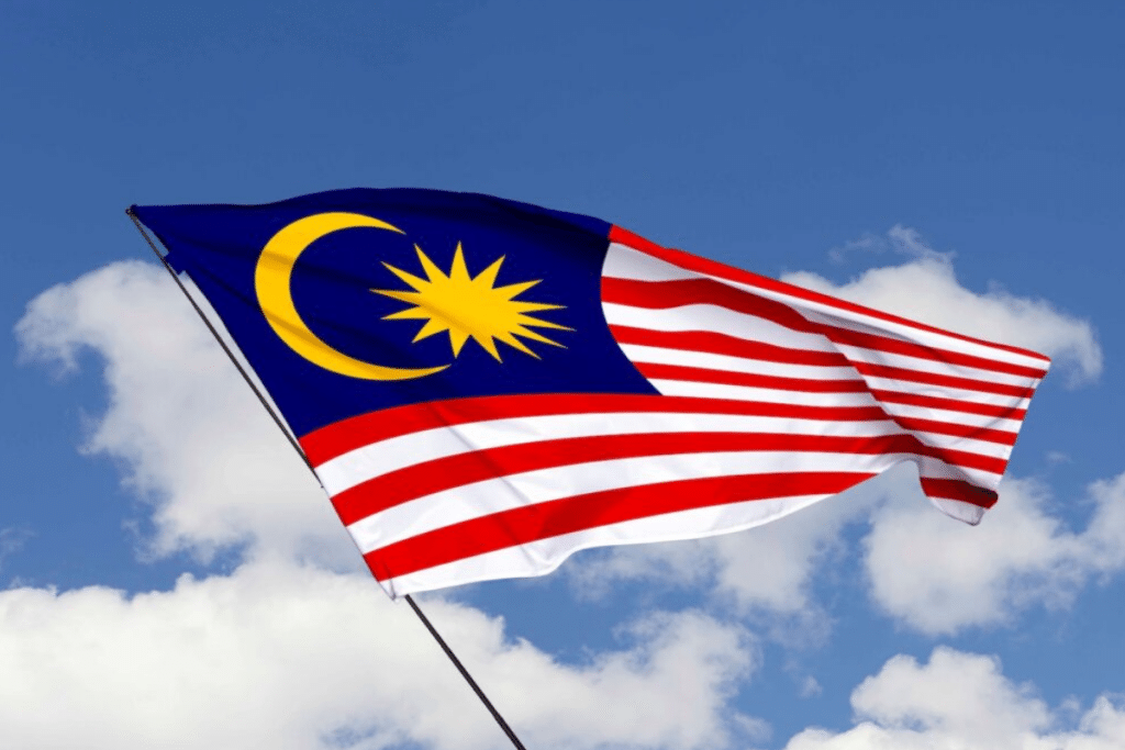 马来西亚富豪投资策略